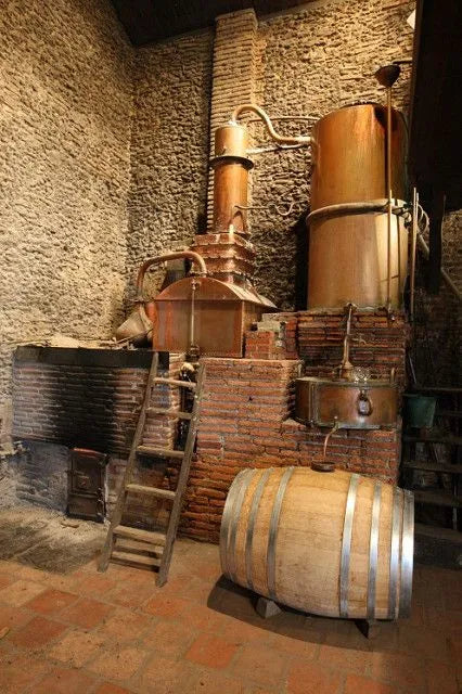 De la vigne à la distillerie : L'essor du whisky en Alsace